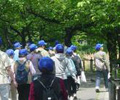 うきはウォーキング