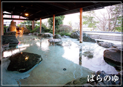 大岩風呂 ばらの湯