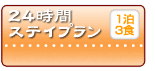 24時間ステイプラン